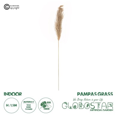 GloboStar® Artificial Garden PAMPAS GRASS 21217 Αποξηραμένο Διακοσμητικό Γρασίδι Πάμπας Μ10 x Π10 x Υ150cm