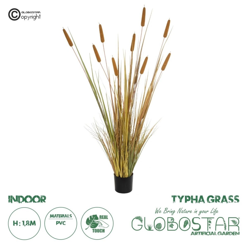 GloboStar® Artificial Garden TYPHA GRASS 21484 Τεχνητό Διακοσμητικό Φυτό Γρασίδι της Τύφας Μ100 x Π35 x Υ180cm