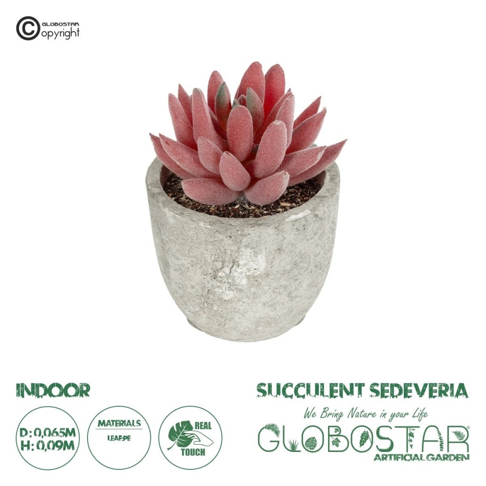 GloboStar® Artificial Garden SUCCULENT SEDEVERIA 21020 Τεχνητό Διακοσμητικό Φυτό Σεδεβέρια Μ6.5 x Π6.5 x Υ9cm