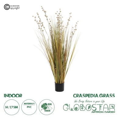 GloboStar® Artificial Garden CRASPEDIA GRASS 21480 Τεχνητό Διακοσμητικό Φυτό Μπεζ & Πράσινο Κρασπέδια Μ90 x Π60 x Υ175cm