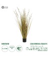 GloboStar® Artificial Garden CRASPEDIA GRASS 21480 Τεχνητό Διακοσμητικό Φυτό Μπεζ & Πράσινο Κρασπέδια Μ90 x Π60 x Υ175cm